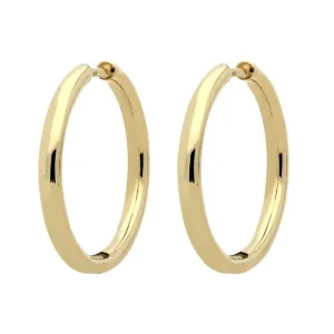9ct Yellow Gold Polished Hoop Earrings