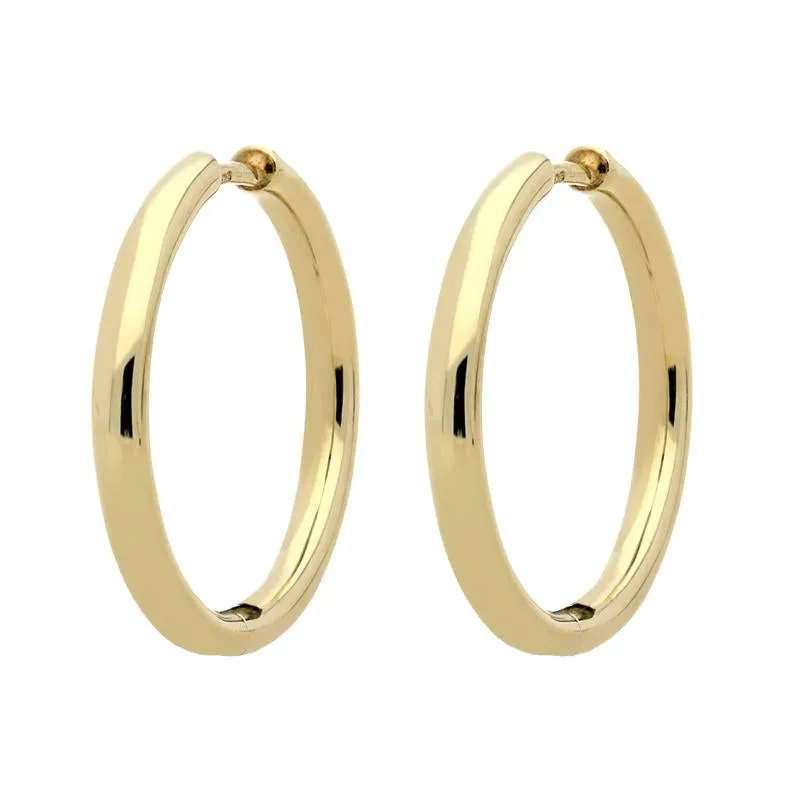 9ct Yellow Gold Polished Hoop Earrings