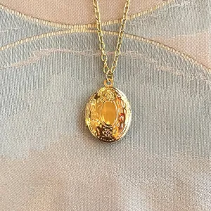 Delicate Gold Embellished Oval Locket Necklace