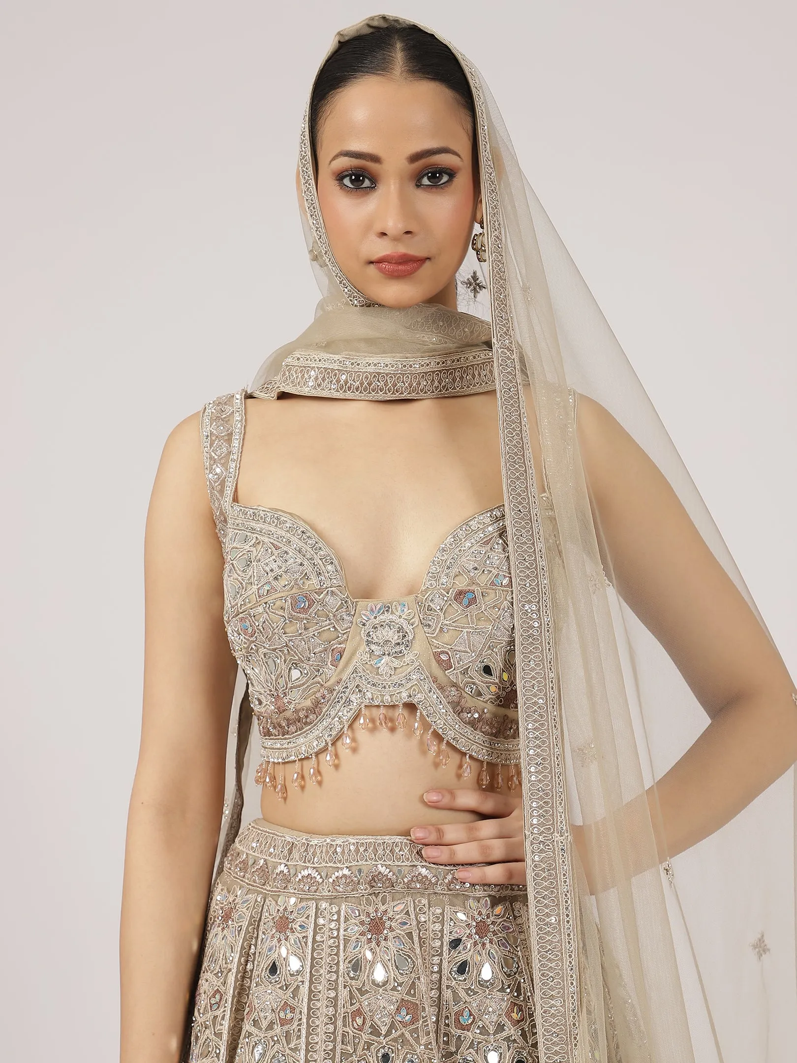 Elegant Beige Netted Lehenga with Intricate Mirror Work Blouse & Skirt