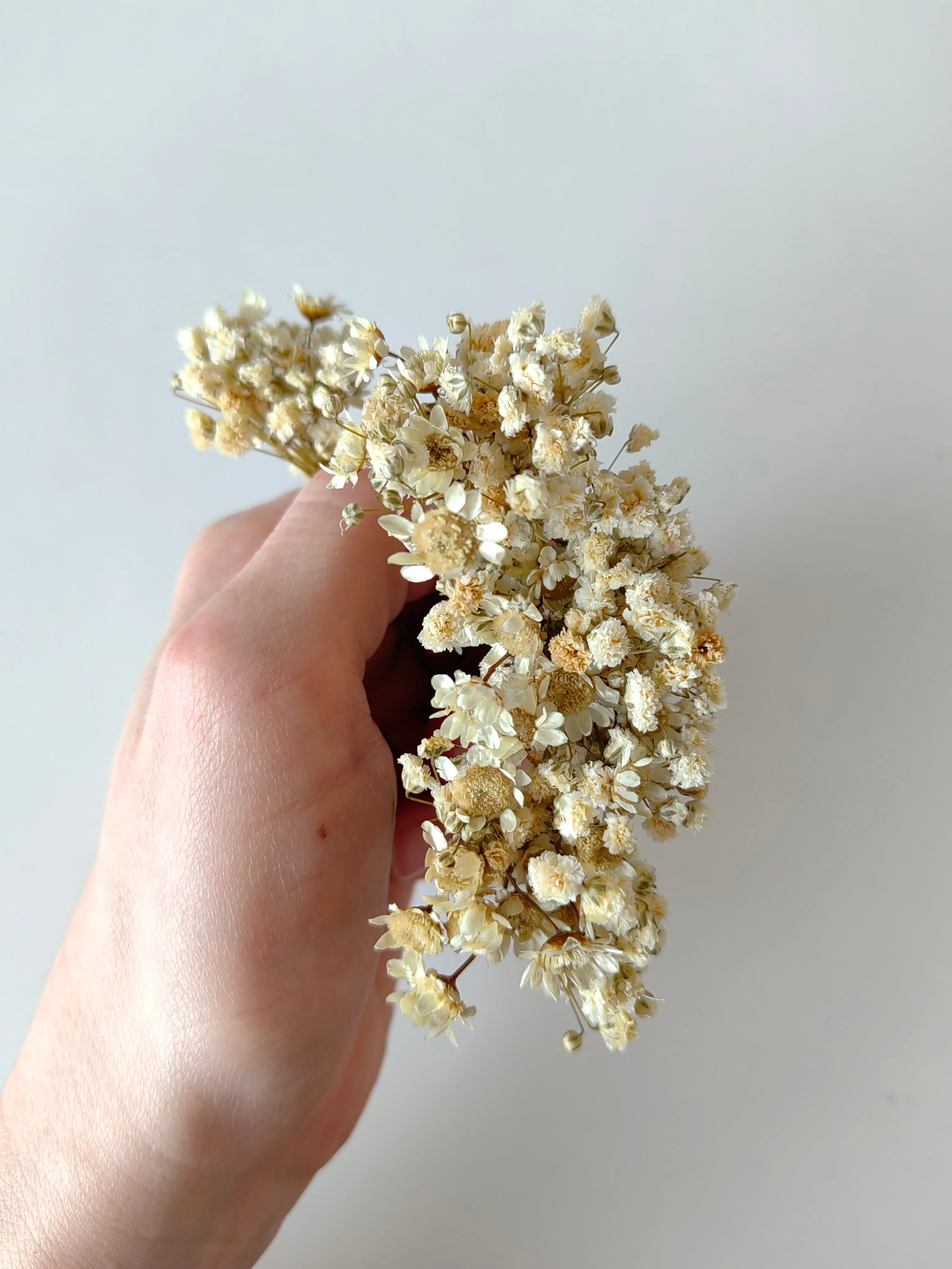 Ivory baby's breath flower hairpins