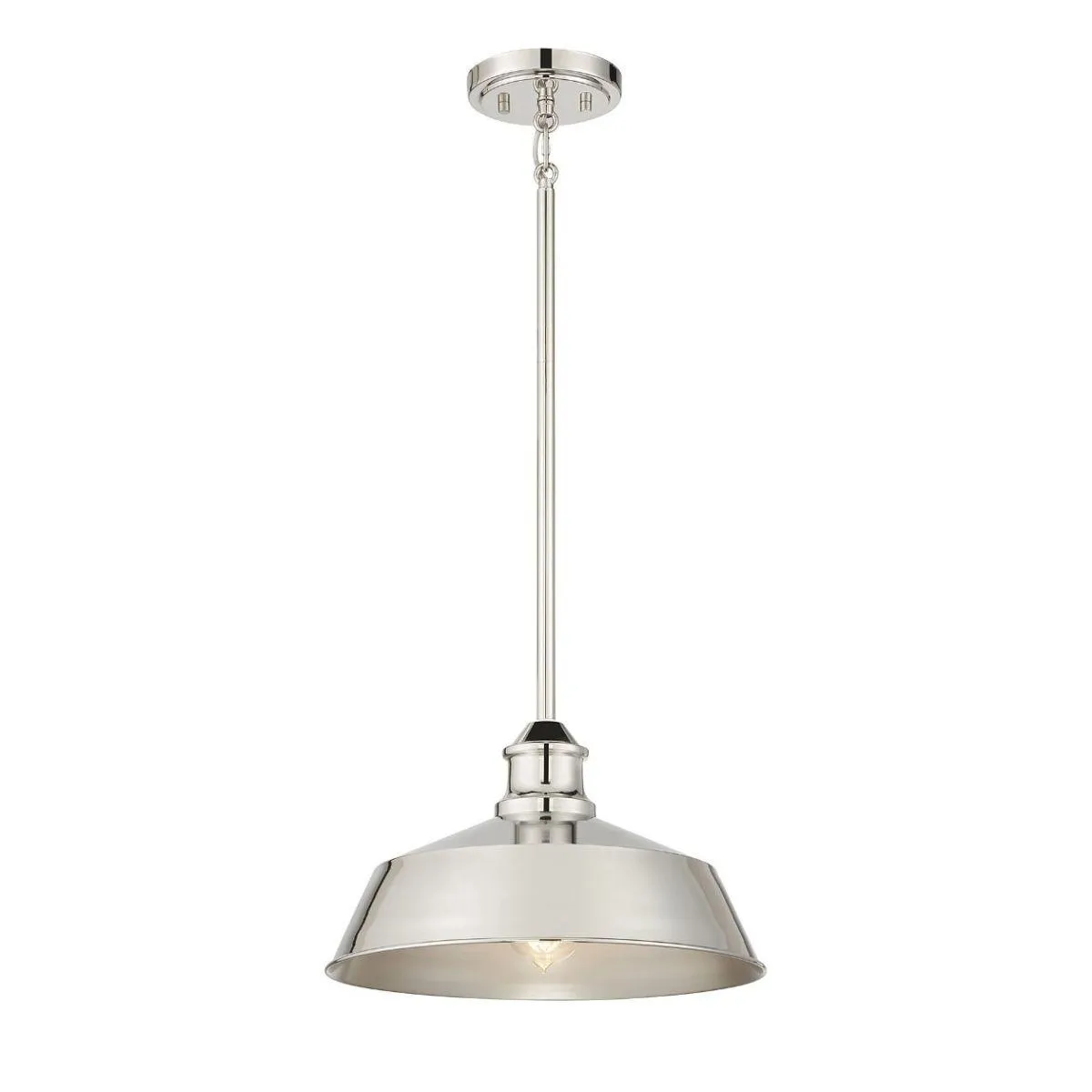 Meridian 14 in Pendant Light