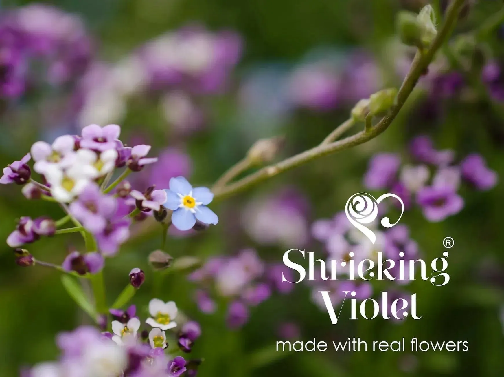 Moon & star necklace by Shrieking Violet® Sterling silver pendant with real forget-me-nots