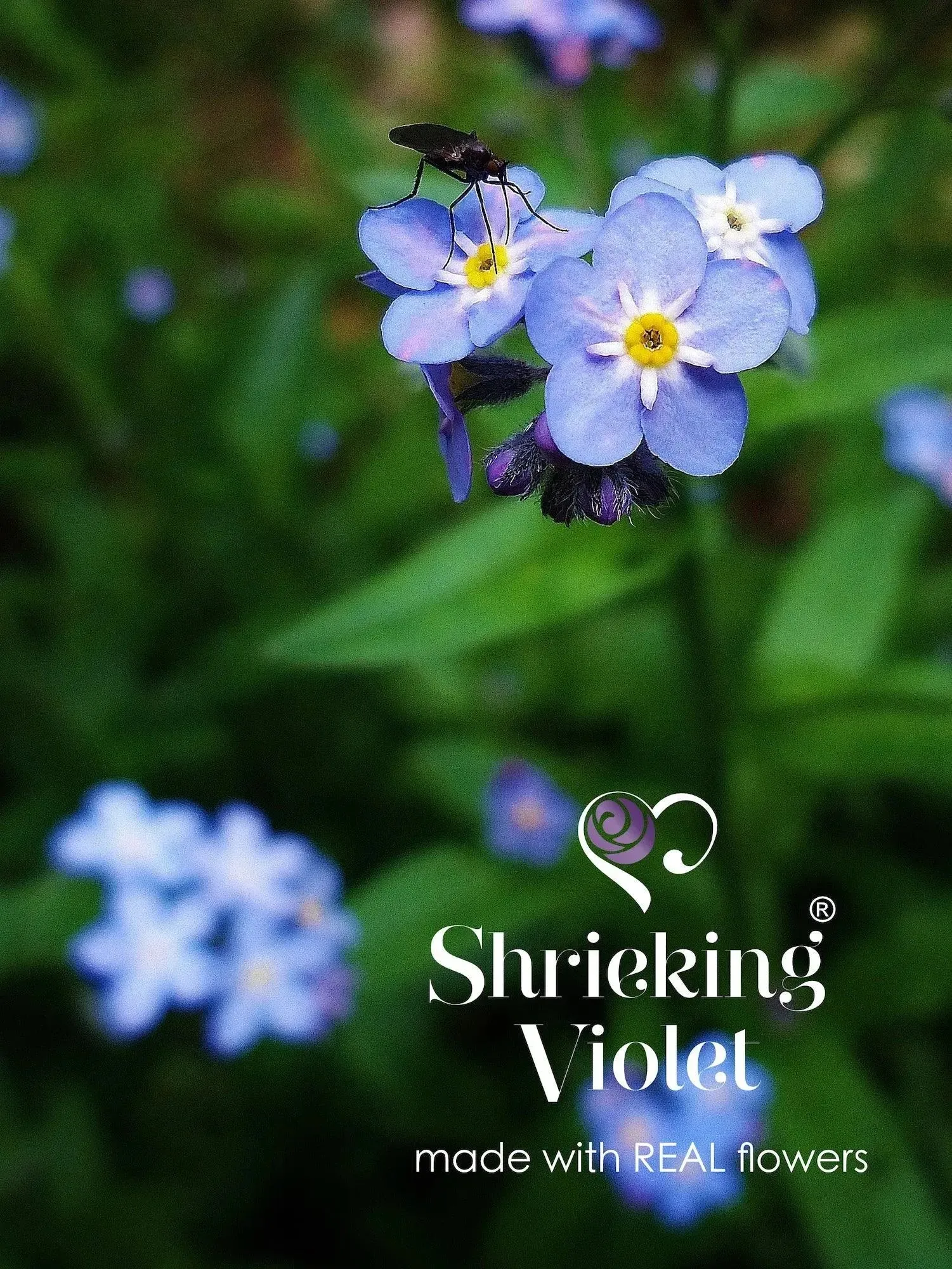 Moon & star necklace by Shrieking Violet® Sterling silver pendant with real forget-me-nots