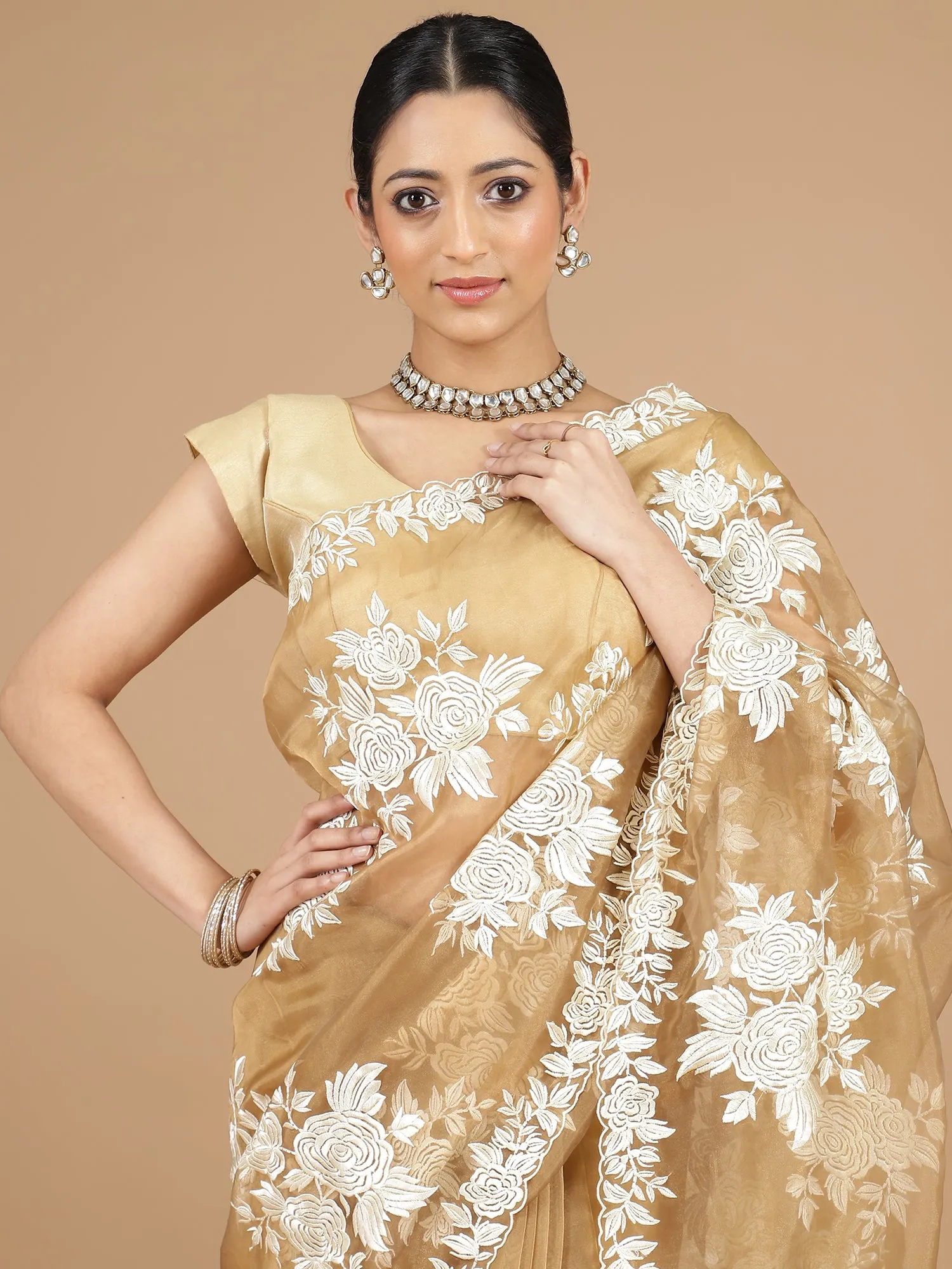 Mustard Organza Saree with Intricate Embroidery