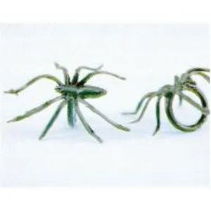 "Spider Rings Bag - 144 Pcs"