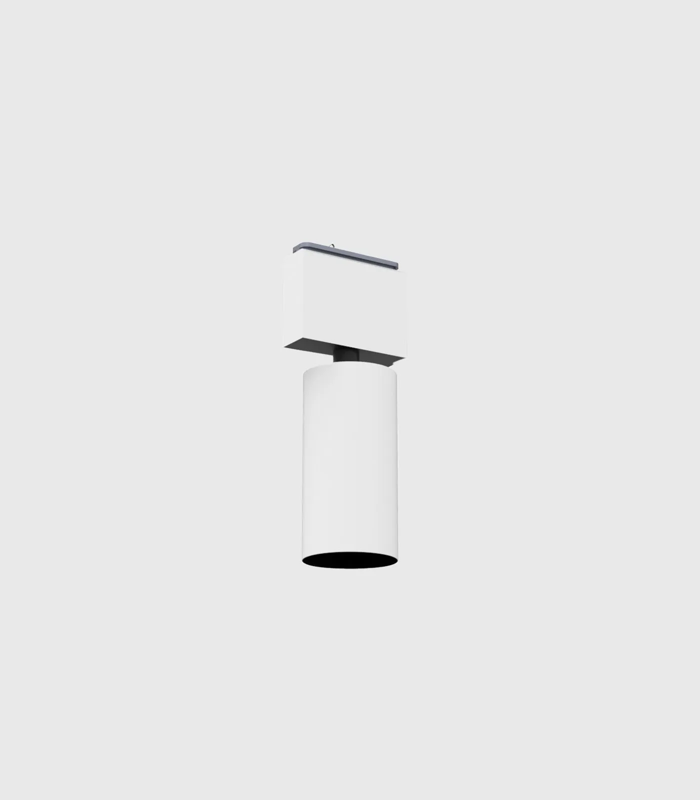 Turn It Rectangle Pendant Light